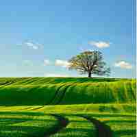 免‍费‍CDN节​点﻿服‌务﻿